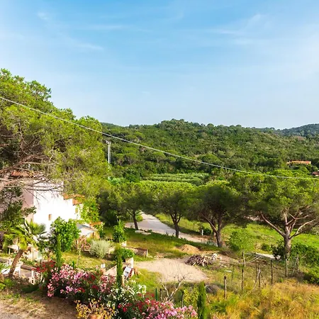 Grazioso In Campagna A Procchio Apartment